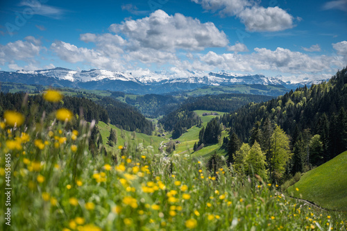 classical Emmental landscape with farm houses in the hills on a spring day in front of the Bernese Alps © schame87