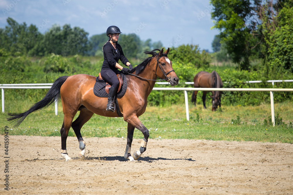 The girl rides a sorrel horse in rinriding school The girl rides a sorrel horse in rinriding school