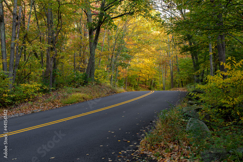 Road in autumn 
