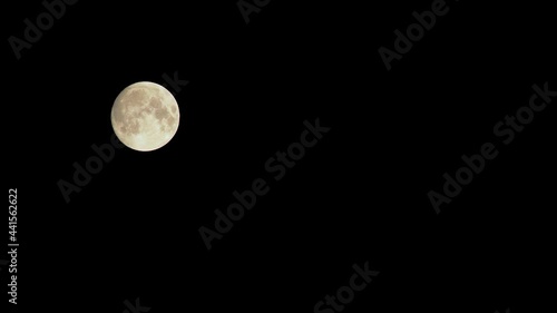 Wallpaper Mural Movement of the full round moon at night in a clear dark sky without stars Torontodigital.ca