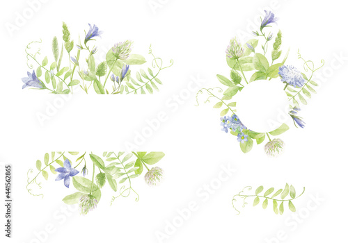 Wildflowers. Watercolor frames of wild herbs  leaves and flowers of clover  bell flowers.