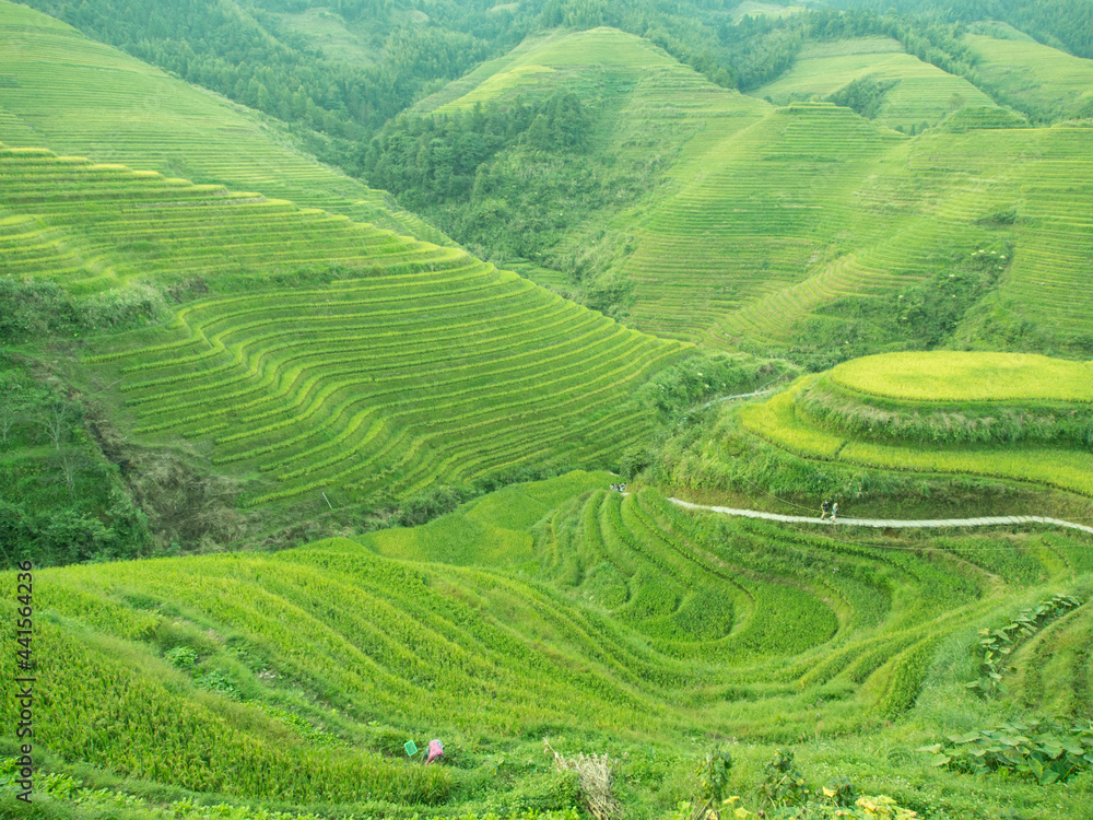 自然　桂林　中国　オリエンタル　棚田　登山　山