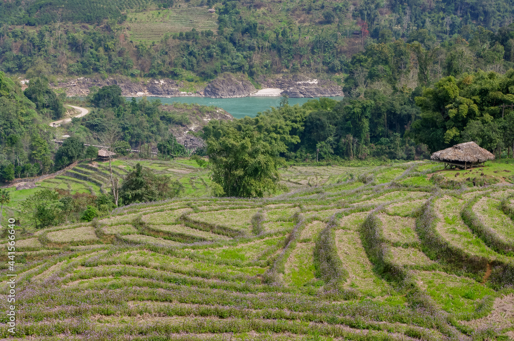 Scenic landscape panorama of the Siyom or Siang river valley, with rice terraces in foreground, Arunachal Pradesh, India