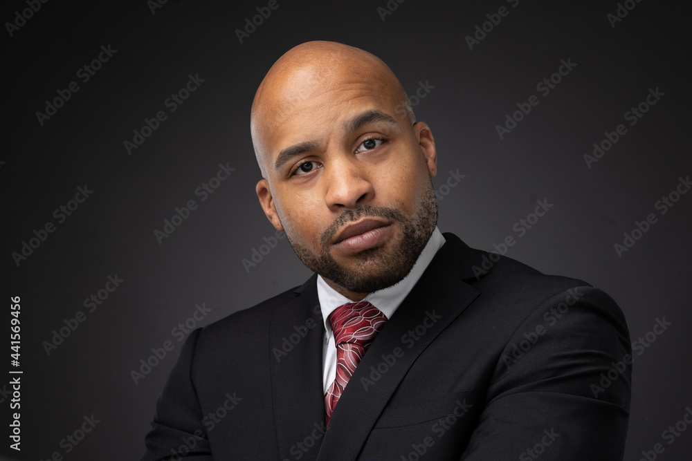 portrait of a businessman portrait of a businessman