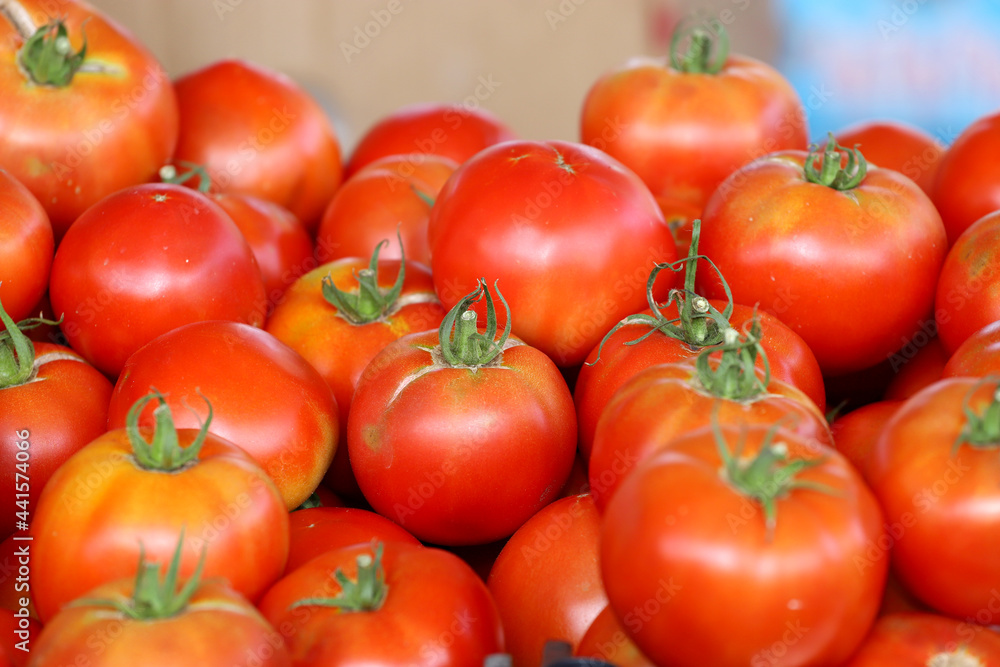 Fresh organic red tomatoes. Fresh organic red tomatoes.