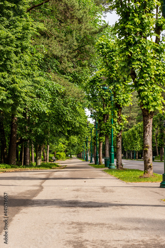 Fototapeta Naklejka Na Ścianę i Meble -  Alley in the Forest Park (Mežaparks) at summer. Vertical photo of path in the park lined with high green trees, green lampposts, benches and lawn.