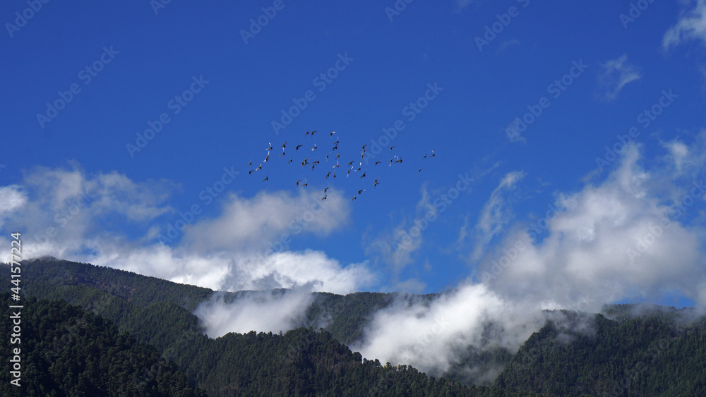birds and clouds over the mountains, La Palma, Canary island birds and clouds over the mountains, La Palma, Canary island