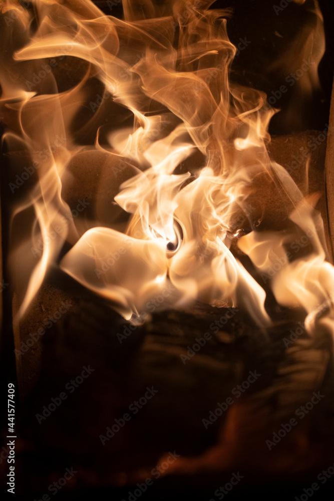 Fireplace with firewood burning inside Fireplace with firewood burning inside