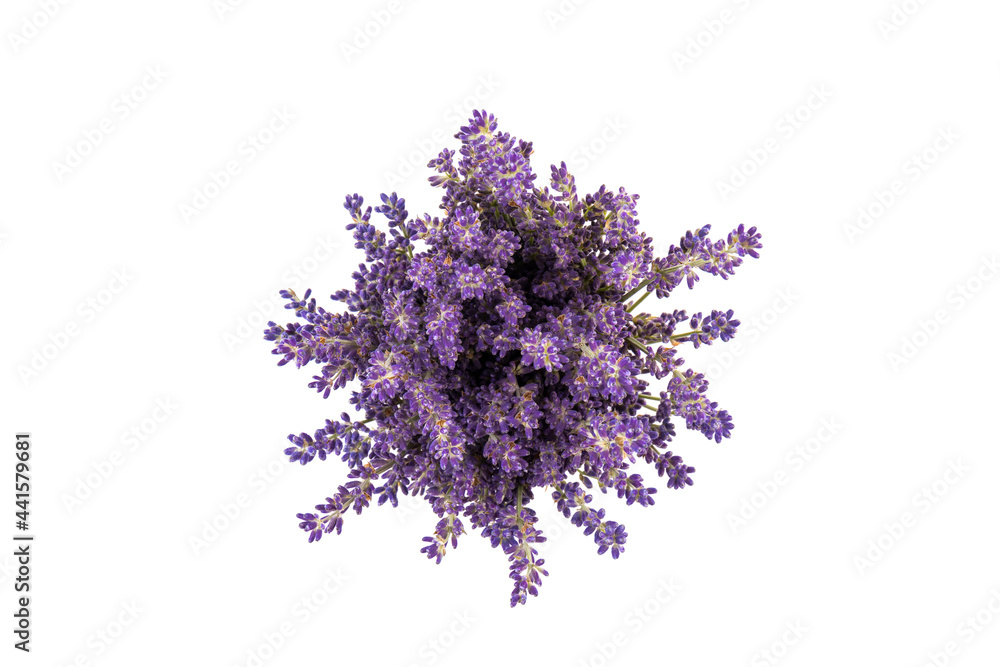 Obraz premium Lavender flowers isolated on white background. Close up. Space for text
