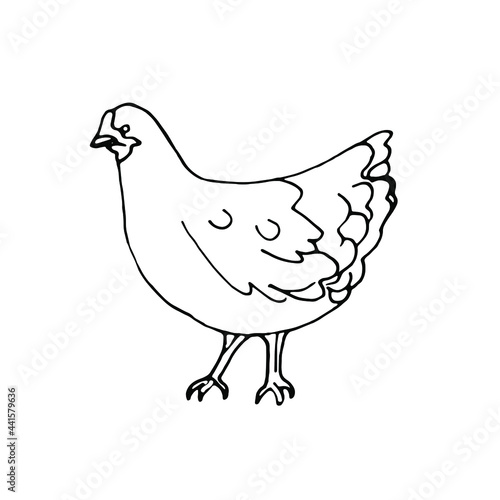 Doodle.Сhicken.Farm animals.Hand drawn line art.