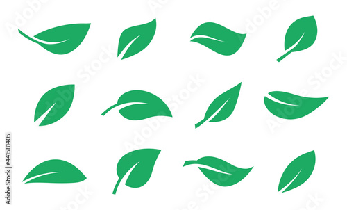 Set of green leaf icons. Leaves of trees and plants. Leaves icon. Collection green leaf. Elements design for natural, eco, bio, vegan labels. Vector illustration.