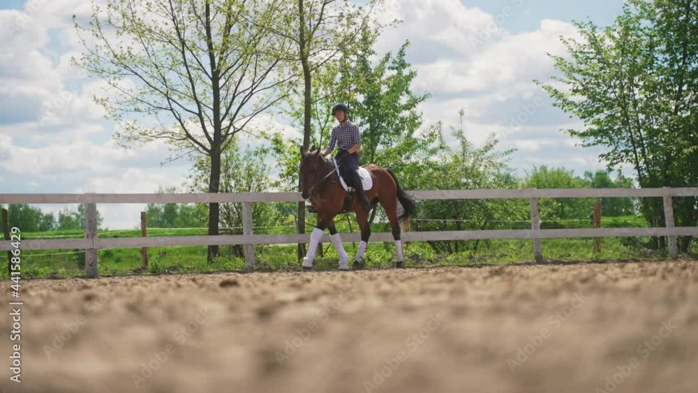 A female jockey wearing helmet riding on her dark Bay horse along the wooden fence in the sandy parkour. The horse is wearing stockings for protection. Horse riding for leisure. A female jockey wearing helmet riding on her dark Bay horse along the wooden fence in the sandy parkour. The horse is wearing stockings for protection. Horse riding for leisure.