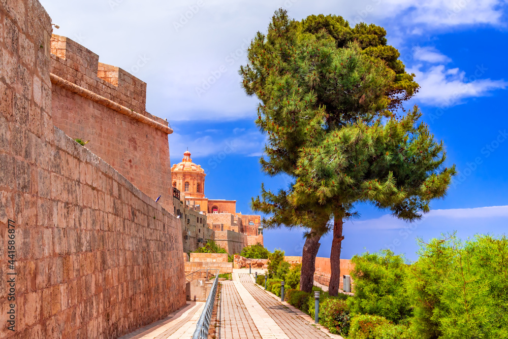 Naklejka premium Mdina, fortified city on Malta island