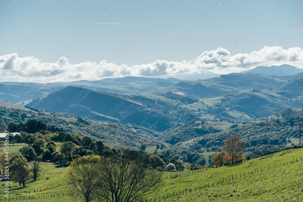 Fototapeta premium Mountainous landscape with grassy meadows under blue sky
