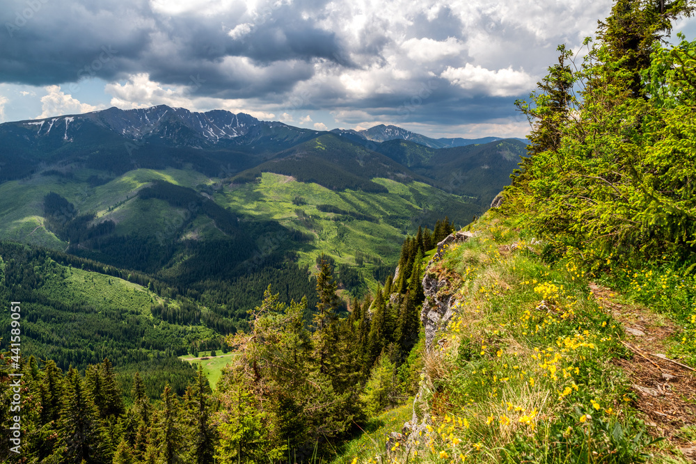 Obraz premium View from hill Ohniste in Low Tatras mountains, Slovakia