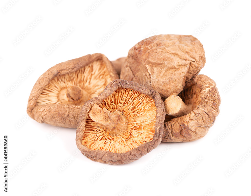 Dried shiitake mushrooms, isolated on white background. Japanese forest mushroom. Lentinula edodes. Close up. Dried shiitake mushrooms, isolated on white background. Japanese forest mushroom. Lentinula edodes. Close up.