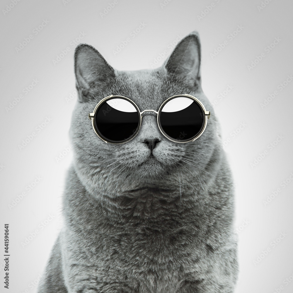 Cool Cat Sunglasses Cat Sunglasses' Sticker | Spreadshirt