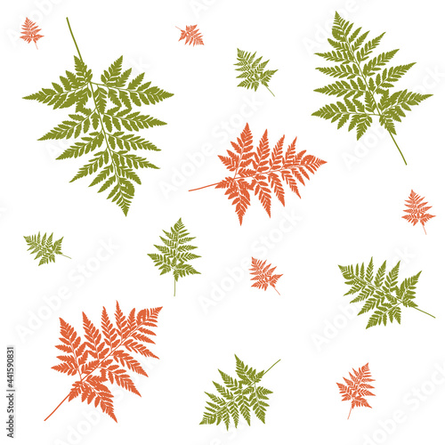 Plant leaves