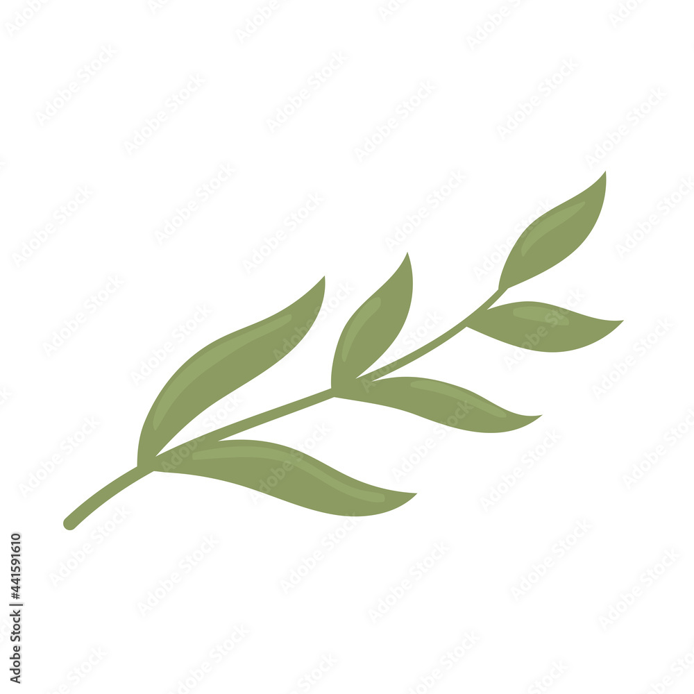 branch foliage botanical branch foliage botanical