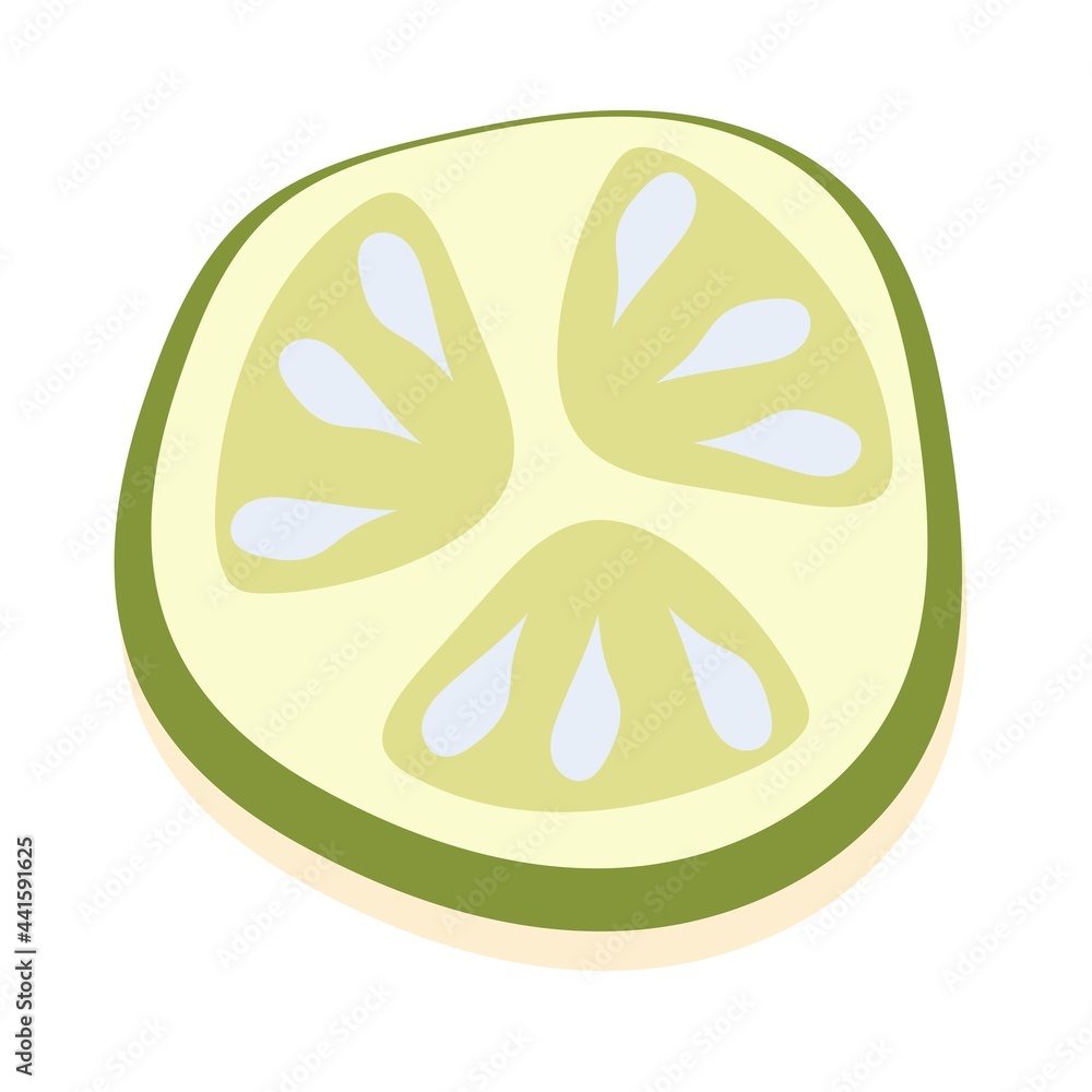A slice of fresh cucumber. Vector illustration isolated on white background A slice of fresh cucumber. Vector illustration isolated on white background