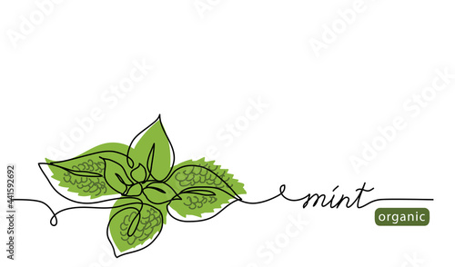 Mint, spearmint vector illustration.Background for label design. One continuous line art drawing illustration with lettering organic mint