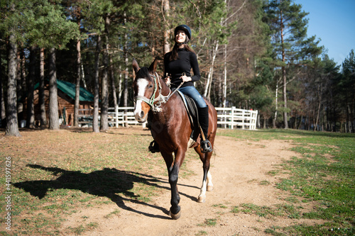 Beautiful Girl Sitting on a Horse Outdoors