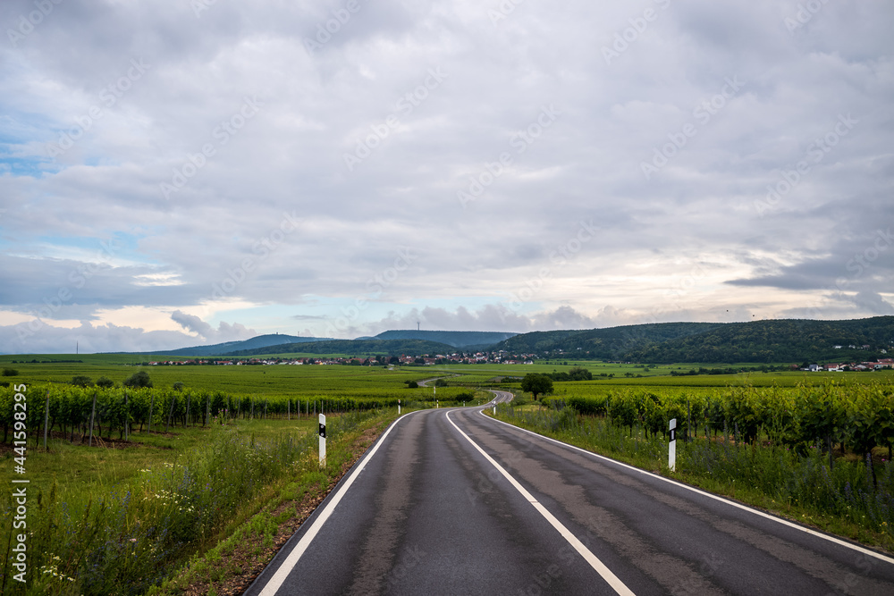 Fototapeta premium road in the countryside