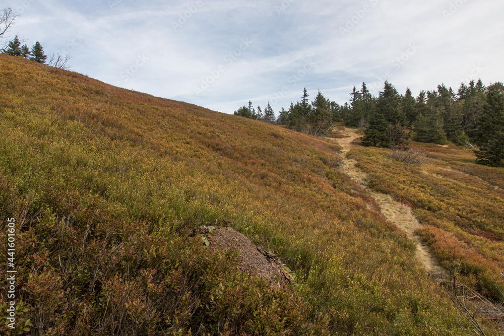 Fototapeta premium Hiking in the bavarian Mountains