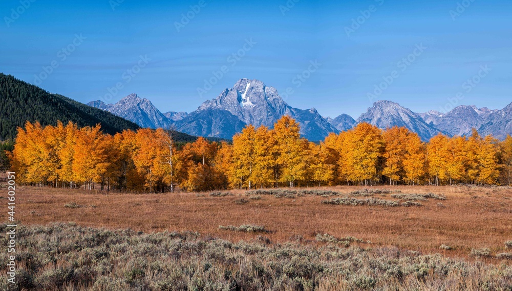 autumn in the mountains