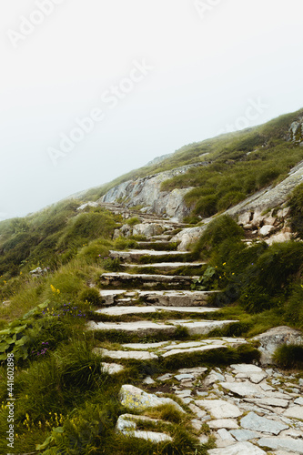 steps in a hill in a foggy day