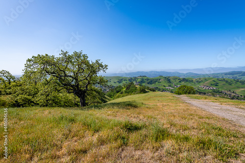 Sycamore Valley Open Space Trails