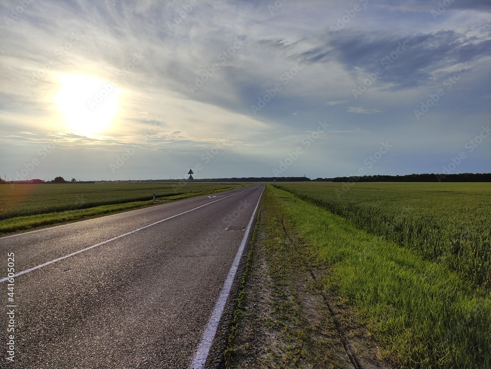 Asphalt road through agricultural fields in summer at sunset