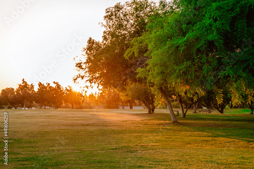 Beautiful landscape of a green lawn at sunset