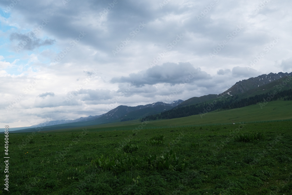 wide green prairie with mountain range on cloudy day. At Nalati grassland in Xinjiang China
