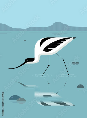 Avocet