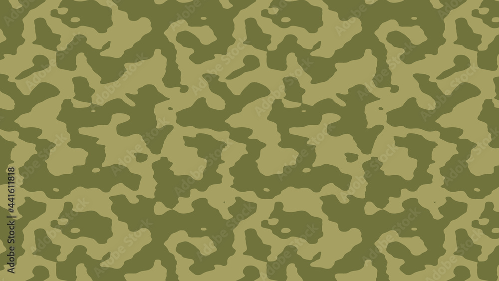 Fototapeta premium Military and army camouflage pattern background