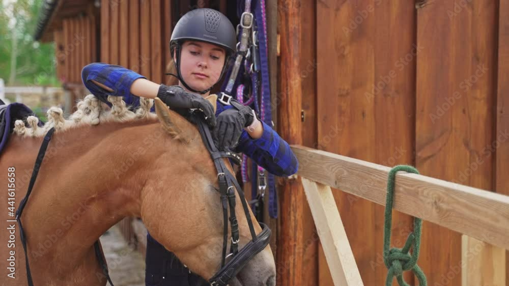 Young competitive woman saddling up her horse. Fixing its headstall. Concept of getting ready for the competition. Beautiful brown horse being saddled up by the owner. Mane is done in a braid. Young competitive woman saddling up her horse. Fixing its headstall. Concept of getting ready for the competition. Beautiful brown horse being saddled up by the owner. Mane is done in a braid.