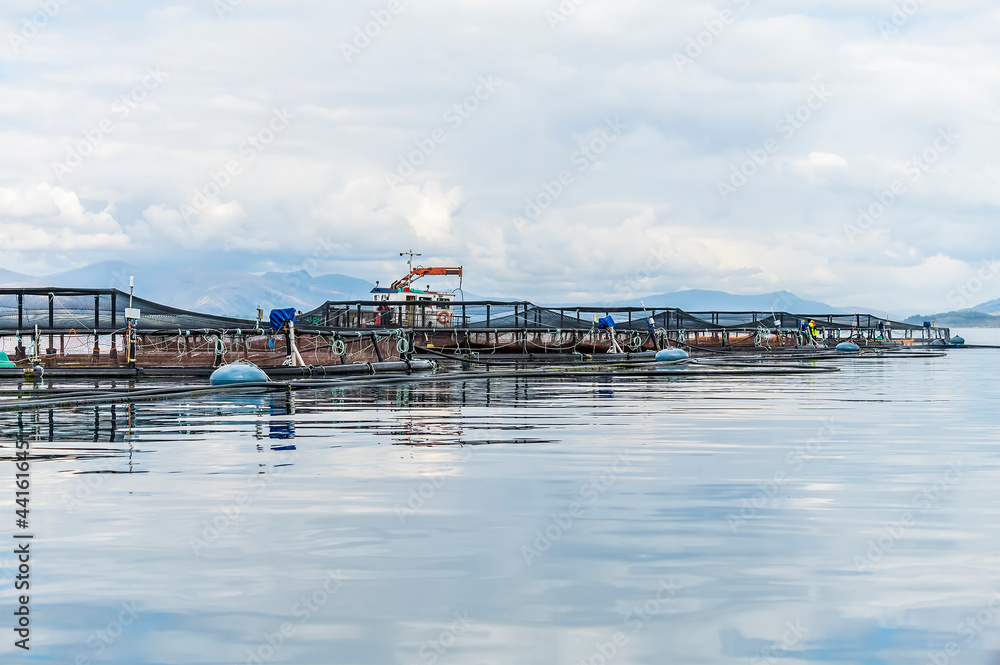 A view along a Salmon Farm in the Firth of Lorn opposite Oban, Scotland on a summers day A view along a Salmon Farm in the Firth of Lorn opposite Oban, Scotland on a summers day