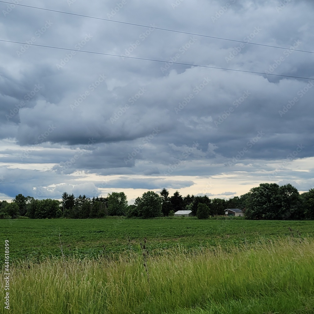 Fototapeta premium field and sky