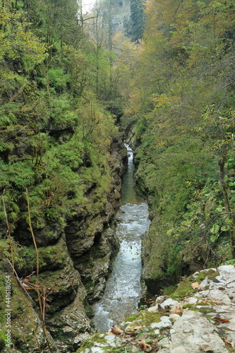 Mountain stream in a narrow canyon.
