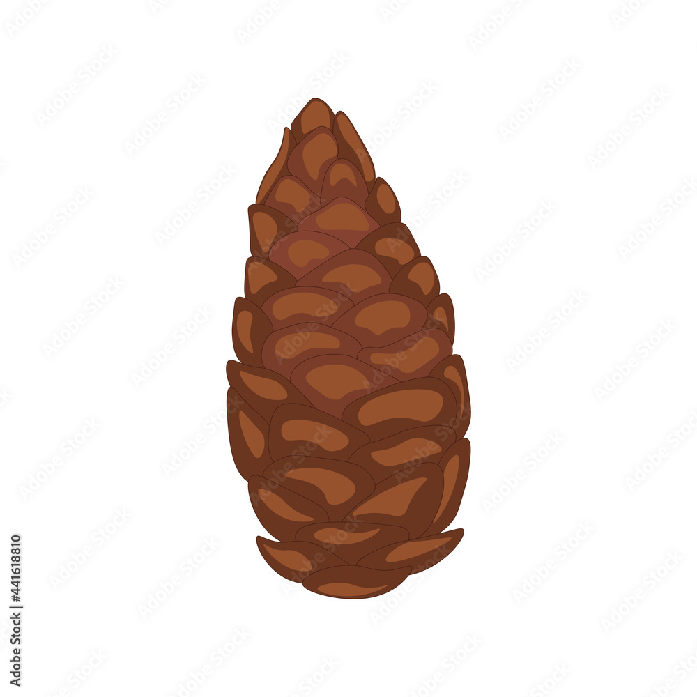 Beautiful big pine cone on a white background. New year design. Beautiful big pine cone on a white background. New year design.