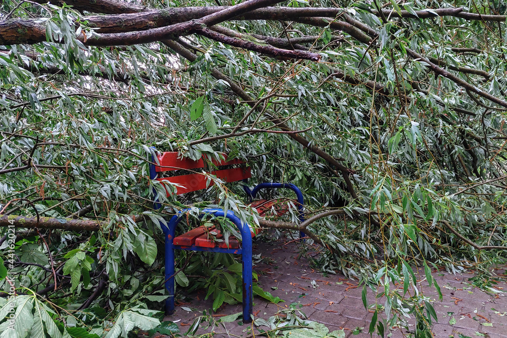A public bench on which a tree fell during a thunderstorm. A public bench on which a tree fell during a thunderstorm.