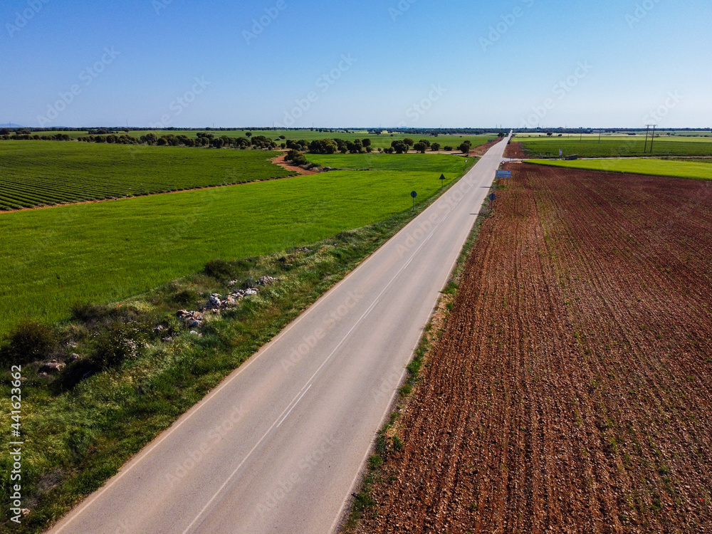 Aerial view of road amidst farm fields
