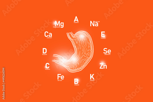 Stylized clockface with essential vitamins and microelements for human health, hand drawn human Stomach, red background. 
Detox of main organs and healthcare concept design mockup. photo