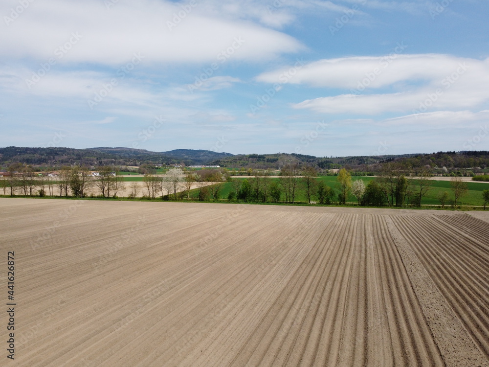 Aerial view of an agricultural field with grain planted in spring in Bavaria