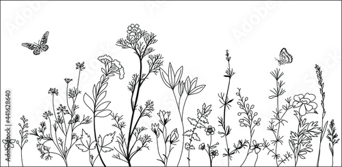 Black silhouettes of grass, flowers and herbs isolated on white background. Hand drawn sketch flowers and insects.