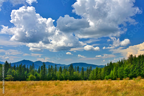 Lovely scenery in summer. Grassy meadow in mountains and blue sky width white clouds, Low Beskid (Beskid Niski), Poland
