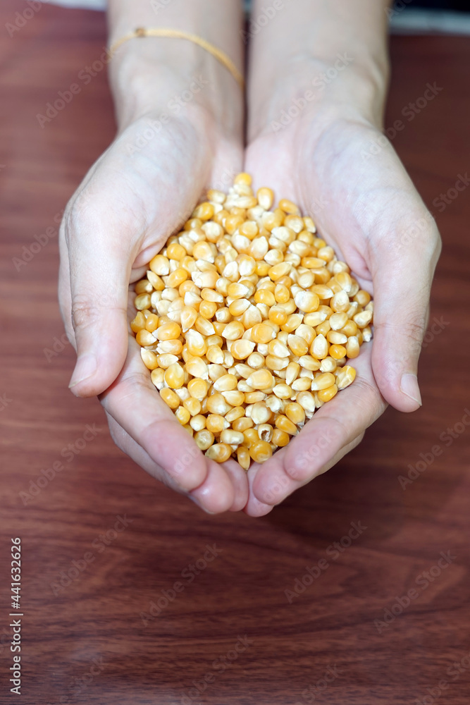 Dried Corn Dried Corn