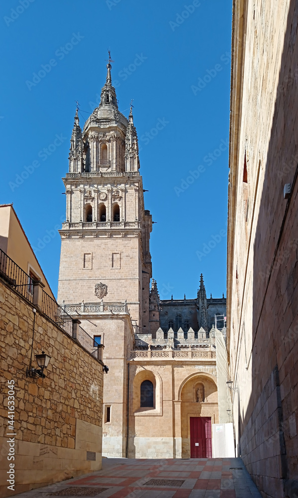 Tower of the Cathedral of Salamanca.
