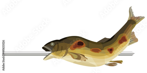鮎の塩焼のイラスト素材　串焼き　ベクター